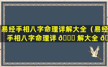 易经手相八字命理详解大全（易经手相八字命理详 💐 解大全 🌷 图解）